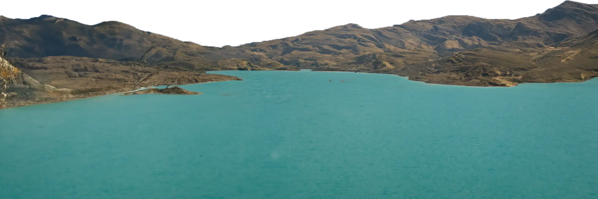 Tasman